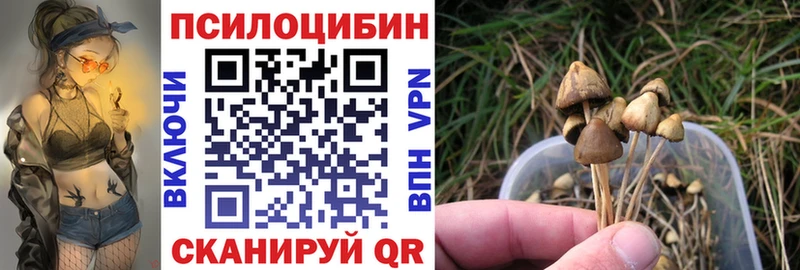 гидра ТОР  Пучеж  Псилоцибиновые грибы ЛСД  магазин  наркотиков 